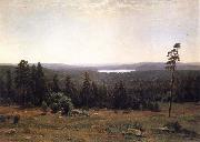 Landscape of the Forest